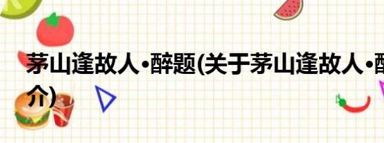 茅山逢故人·醉题(关于茅山逢故人·醉题的简介)