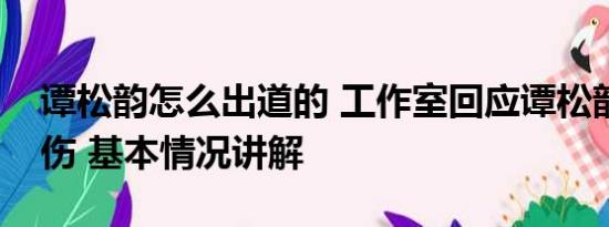 谭松韵怎么出道的 工作室回应谭松韵嘴角受伤 基本情况讲解