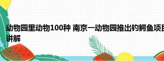 动物园里动物100种 南京一动物园推出钓鳄鱼项目 基本情况讲解