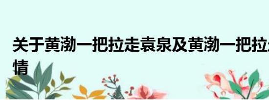 关于黄渤一把拉走袁泉及黄渤一把拉走袁泉详情