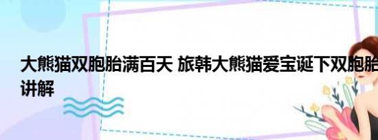 大熊猫双胞胎满百天 旅韩大熊猫爱宝诞下双胞胎 基本情况讲解