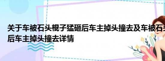 关于车被石头棍子猛砸后车主掉头撞去及车被石头棍子猛砸后车主掉头撞去详情