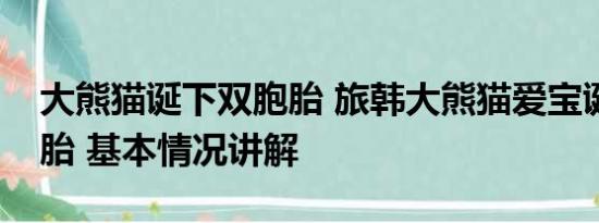 大熊猫诞下双胞胎 旅韩大熊猫爱宝诞下双胞胎 基本情况讲解