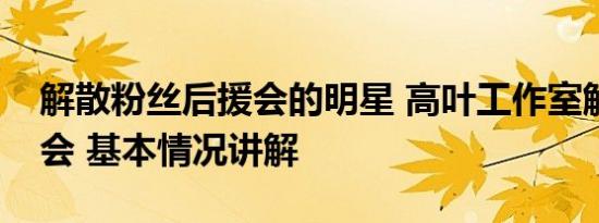 解散粉丝后援会的明星 高叶工作室解散后援会 基本情况讲解