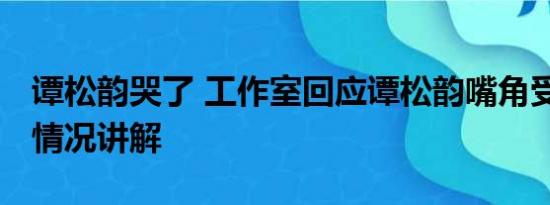 谭松韵哭了 工作室回应谭松韵嘴角受伤 基本情况讲解