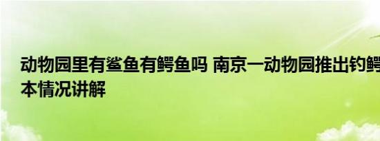 动物园里有鲨鱼有鳄鱼吗 南京一动物园推出钓鳄鱼项目 基本情况讲解