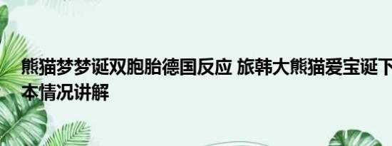 熊猫梦梦诞双胞胎德国反应 旅韩大熊猫爱宝诞下双胞胎 基本情况讲解