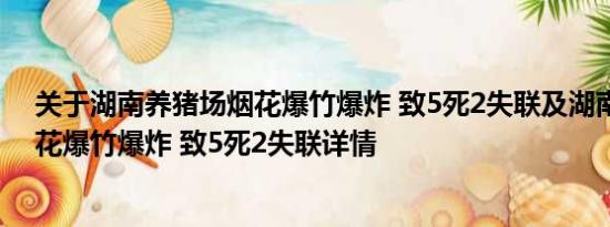 关于湖南养猪场烟花爆竹爆炸 致5死2失联及湖南养猪场烟花爆竹爆炸 致5死2失联详情