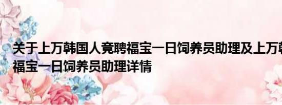 关于上万韩国人竞聘福宝一日饲养员助理及上万韩国人竞聘福宝一日饲养员助理详情