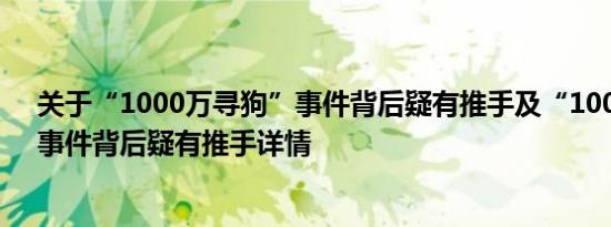 关于“1000万寻狗”事件背后疑有推手及“1000万寻狗”事件背后疑有推手详情