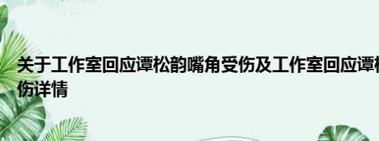 关于工作室回应谭松韵嘴角受伤及工作室回应谭松韵嘴角受伤详情