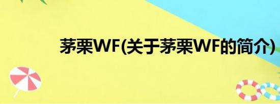 茅栗WF(关于茅栗WF的简介)