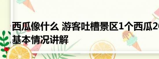 西瓜像什么 游客吐槽景区1个西瓜200多元 基本情况讲解