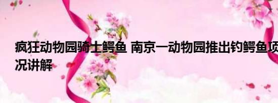 疯狂动物园骑士鳄鱼 南京一动物园推出钓鳄鱼项目 基本情况讲解