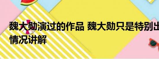 魏大勋演过的作品 魏大勋只是特别出演 基本情况讲解