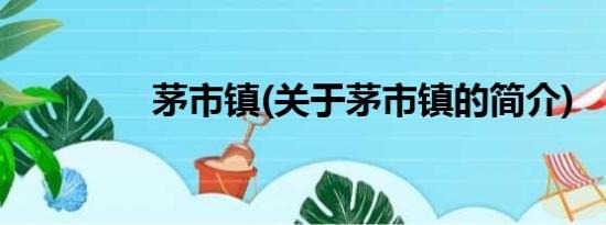 茅市镇(关于茅市镇的简介)