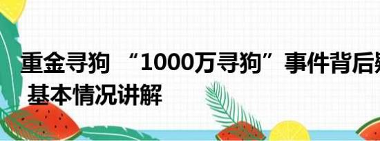 重金寻狗 “1000万寻狗”事件背后疑有推手 基本情况讲解