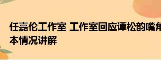 任嘉伦工作室 工作室回应谭松韵嘴角受伤 基本情况讲解