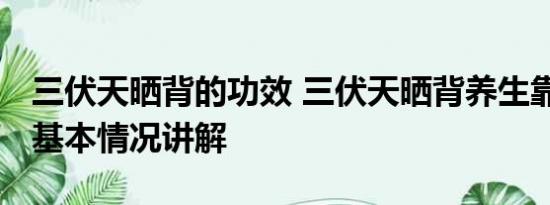 三伏天晒背的功效 三伏天晒背养生靠谱吗？ 基本情况讲解