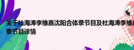 关于杜海涛李维嘉沈阳合体录节目及杜海涛李维嘉沈阳合体录节目详情