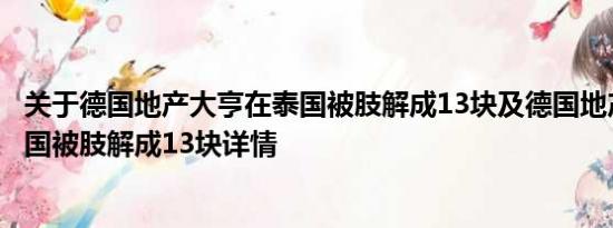 关于德国地产大亨在泰国被肢解成13块及德国地产大亨在泰国被肢解成13块详情