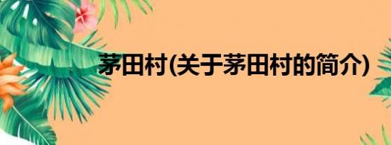 茅田村(关于茅田村的简介)