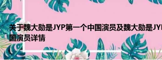 关于魏大勋是JYP第一个中国演员及魏大勋是JYP第一个中国演员详情