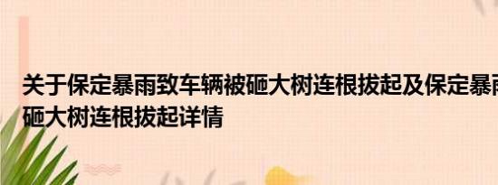 关于保定暴雨致车辆被砸大树连根拔起及保定暴雨致车辆被砸大树连根拔起详情