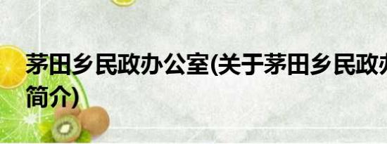 茅田乡民政办公室(关于茅田乡民政办公室的简介)