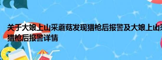 关于大娘上山采蘑菇发现猎枪后报警及大娘上山采蘑菇发现猎枪后报警详情