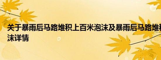 关于暴雨后马路堆积上百米泡沫及暴雨后马路堆积上百米泡沫详情