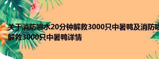 关于消防喷水20分钟解救3000只中暑鸭及消防喷水20分钟解救3000只中暑鸭详情