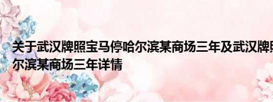 关于武汉牌照宝马停哈尔滨某商场三年及武汉牌照宝马停哈尔滨某商场三年详情