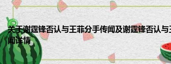 关于谢霆锋否认与王菲分手传闻及谢霆锋否认与王菲分手传闻详情