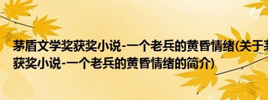 茅盾文学奖获奖小说-一个老兵的黄昏情绪(关于茅盾文学奖获奖小说-一个老兵的黄昏情绪的简介)