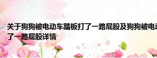 关于狗狗被电动车踏板打了一路屁股及狗狗被电动车踏板打了一路屁股详情