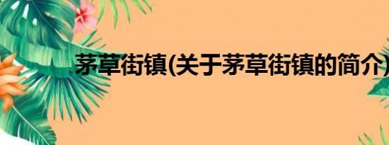 茅草街镇(关于茅草街镇的简介)