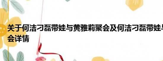 关于何洁刁磊带娃与黄雅莉聚会及何洁刁磊带娃与黄雅莉聚会详情