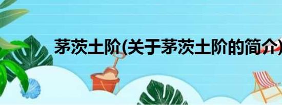 茅茨土阶(关于茅茨土阶的简介)