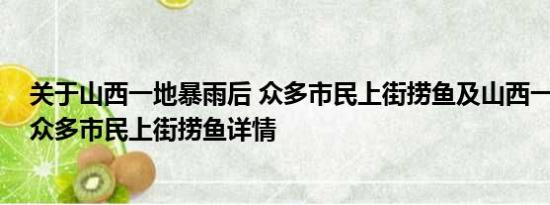 关于山西一地暴雨后 众多市民上街捞鱼及山西一地暴雨后 众多市民上街捞鱼详情