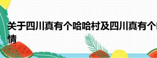 关于四川真有个哈哈村及四川真有个哈哈村详情