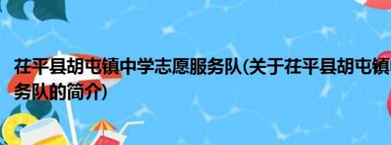 茌平县胡屯镇中学志愿服务队(关于茌平县胡屯镇中学志愿服务队的简介)