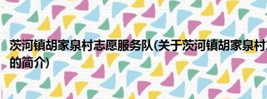 茨河镇胡家泉村志愿服务队(关于茨河镇胡家泉村志愿服务队的简介)