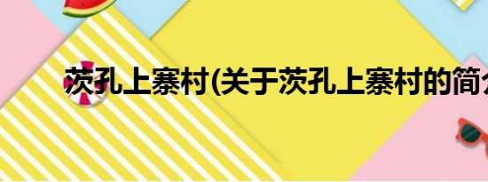 茨孔上寨村(关于茨孔上寨村的简介)