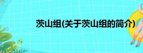 茨山组(关于茨山组的简介)