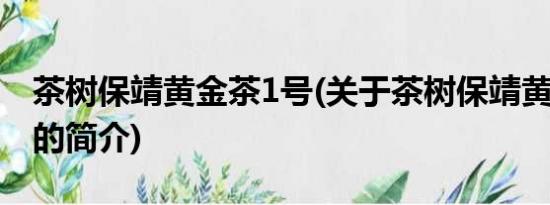 茶树保靖黄金茶1号(关于茶树保靖黄金茶1号的简介)