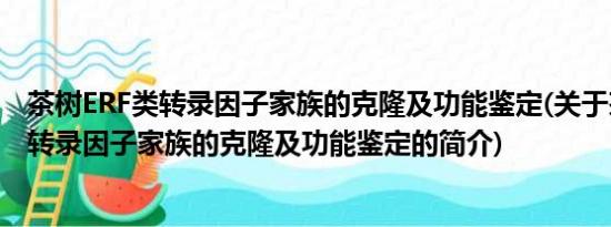 茶树ERF类转录因子家族的克隆及功能鉴定(关于茶树ERF类转录因子家族的克隆及功能鉴定的简介)