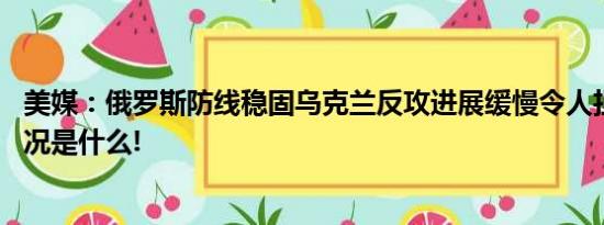 美媒：俄罗斯防线稳固乌克兰反攻进展缓慢令人担忧 具体情况是什么!