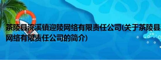 茶陵县浣溪镇迎陵网络有限责任公司(关于茶陵县浣溪镇迎陵网络有限责任公司的简介)