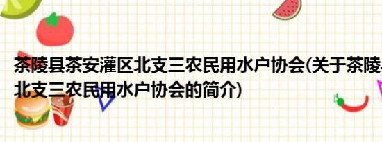 茶陵县茶安灌区北支三农民用水户协会(关于茶陵县茶安灌区北支三农民用水户协会的简介)